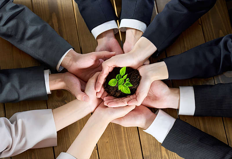 Sustainability Management